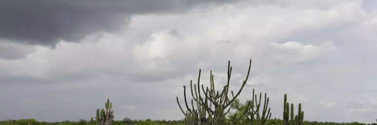 Previsão do Tempo: Fim de Semana será de sol no Litoral e pancadas de chuva em regiões do interior baiano