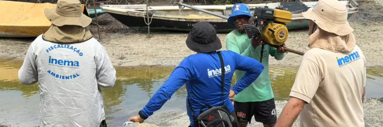 Inema intensifica ações no defeso do caranguejo-uçá e solta mais de 5,7 mil animais