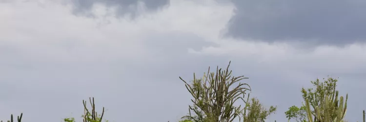 Previsão do Tempo: Fim de semana terá chuvas em toda a Bahia e temperaturas de até 36°C no interior