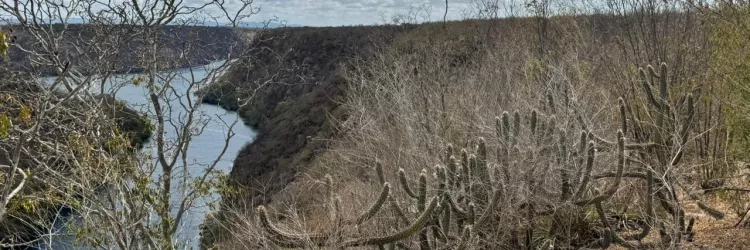 Turismo ecológico: aliado estratégico da conservação ambiental na Bahia