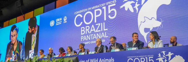 Bahia apresentam proposta sobre aves silvestres na COP15 e avança na integração entre saúde e meio ambiente