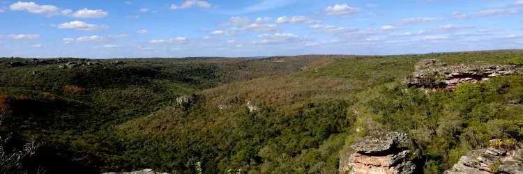 Patrimônio Rupestre da Bahia: Saiba como o Inema integra a proteção ambiental e o patrimônio arqueológico na Bahia
