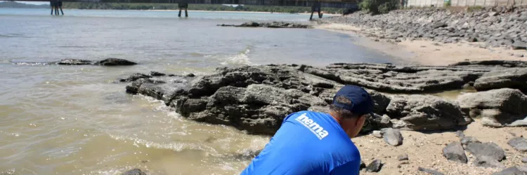 Inema afirma que não validou laudos divulgados por Terminal e diz que interdição segue mantida