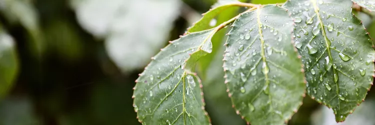 Previsão do tempo: Fim de semana terá sol, chuvas e aumento de instabilidades em toda a Bahia
