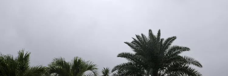 Recôncavo e litoral baiano seguem em atenção com risco de alagamentos e deslizamentos, alerta Inema