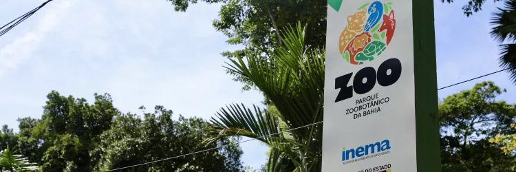 Animais do Parque Zoobotânico da Bahia ganham “Ovozoo de Páscoa” em semana especial de enriquecimento ambiental