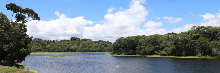 Semana do Meio Ambiente reúne marcos históricos da conservação ambiental na Bahia