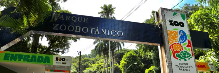 Zoo Bahia funcionará normalmente durante o São João e reforça orientações aos visitantes