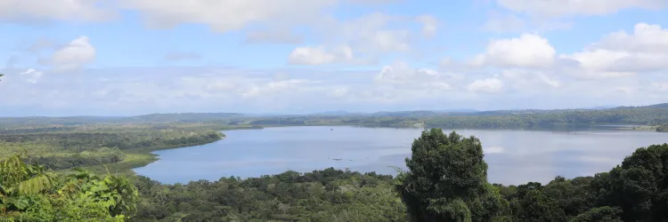 TCSA Porto Sul lança chamada de R$ 4 milhões para recomposição vegetal no Sul da Bahia