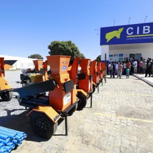 Santa Maria da Vitória