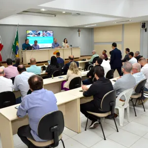 Audiência Pública PDSTRIP