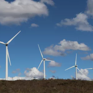 Bahia consolida liderança nacional em energias renováveis com avanços em eólica e solar