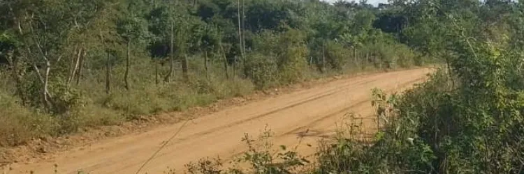 Acesso ao povoado de Cigana, em Piritiba