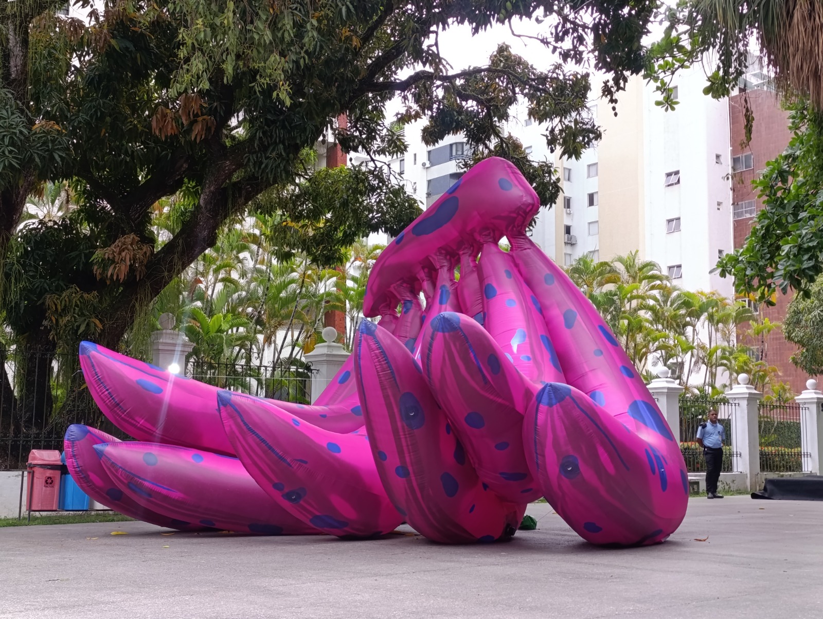 Exposição de Zéh Palito no MAC_Bahia