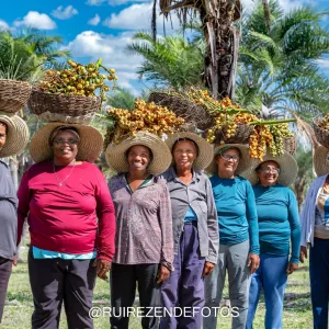 Exposição fotográfica Agricultura da Bahia, em cartaz no MAM