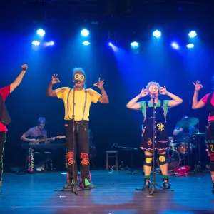 Projeto Vilerê no MAB