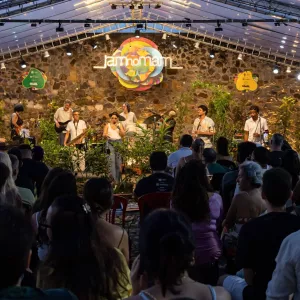 Virada Cultural no MAM