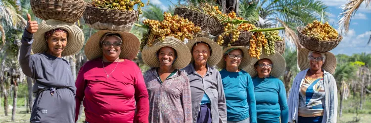 Exposição fotográfica Agricultura da Bahia, em cartaz no MAM