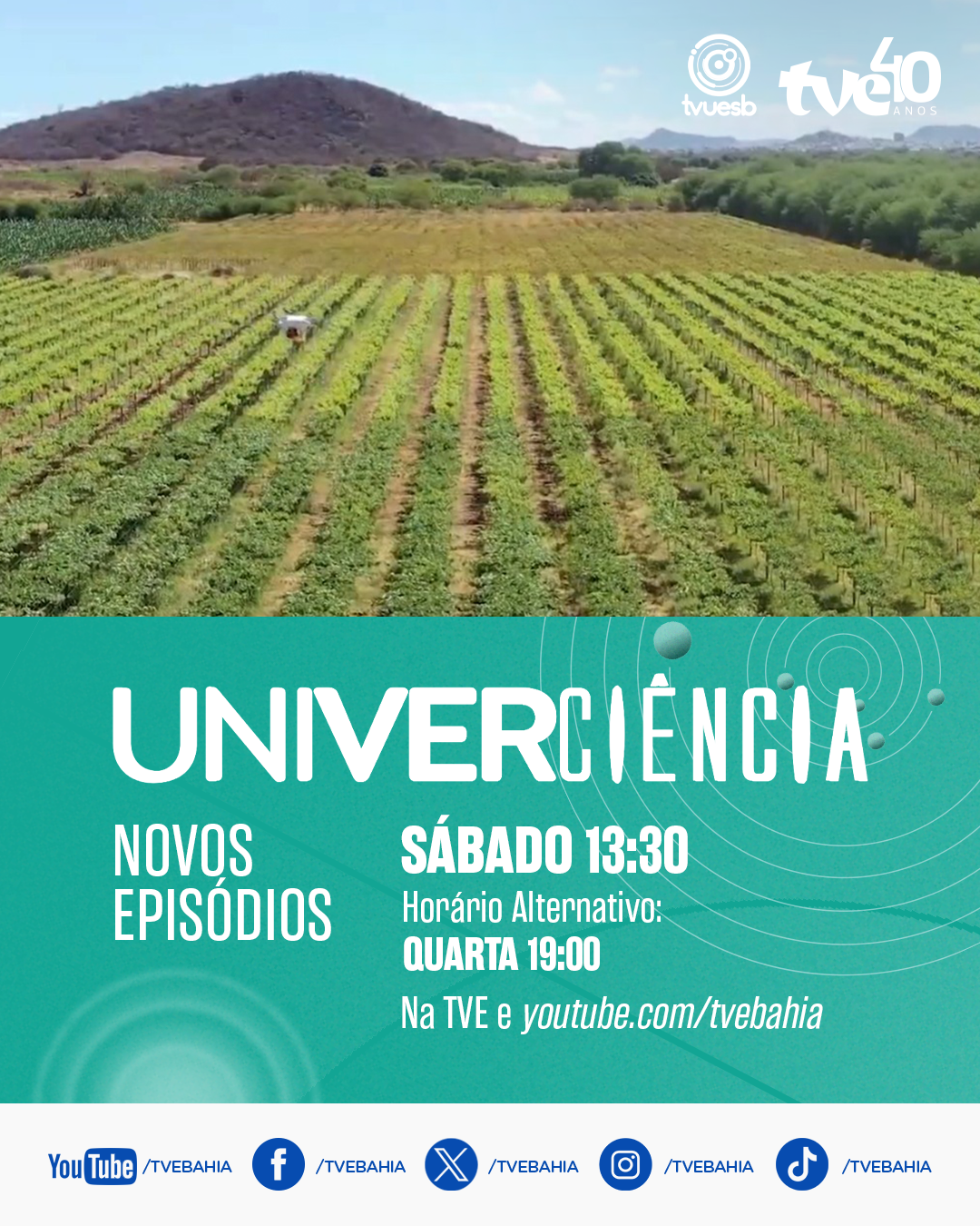 Univerciência mostra argila modificada, carpintaria naval, monitoramento do ar e mamona na TVE