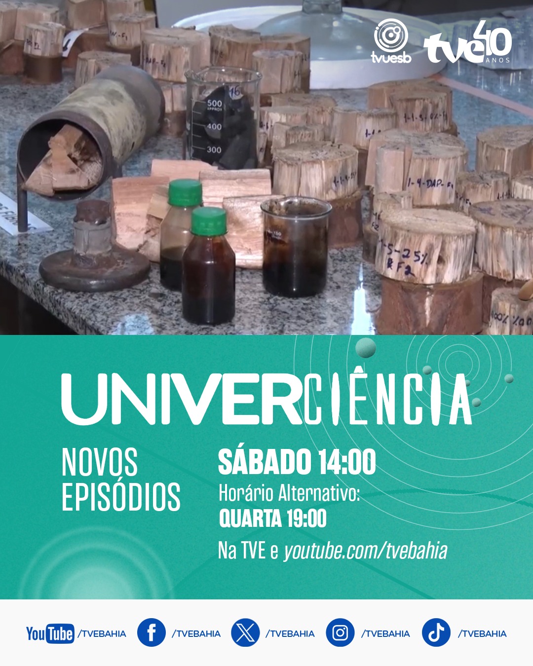 Óleos essenciais, carvão vegetal, metaverso e lagartos são destaques no Univerciência