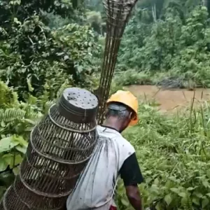 TVE exibe filmes socioambientais selecionados pela Mostra Ecofalante de Cinema