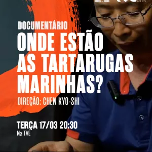 TVE exibe o documentário ‘Onde Estão As Tartarugas Marinhas?'