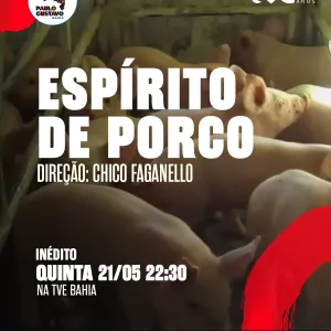 TVE exibe o documentário "Espírito de Porco"