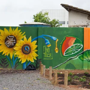  MUSAS: Grafite, Comunidade e Transformação na Bahia