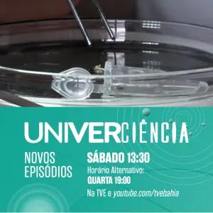 Univerciência destaca estudos sobre impacto ambiental do turismo e o uso de tecnologias na medicina e na preservação da cultura quilombola
