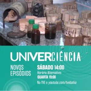 Óleos essenciais, carvão vegetal, metaverso e lagartos são destaques no Univerciência
