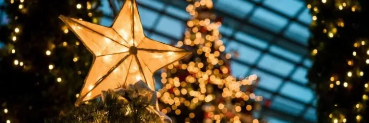 TVE transmite o concerto Natal das Estrelas