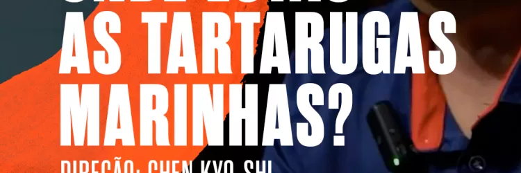 TVE exibe o documentário ‘Onde Estão As Tartarugas Marinhas?'