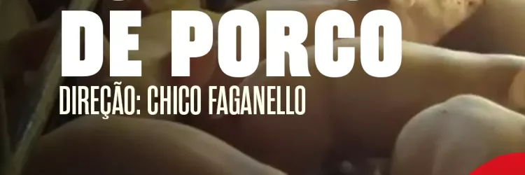 TVE exibe o documentário "Espírito de Porco"
