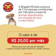 WhatsApp Image 2020-08-05 at 10.04.28