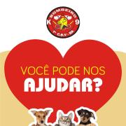 WhatsApp Image 2020-08-05 at 10.04.28 (3)