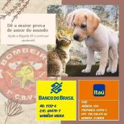 WhatsApp Image 2020-08-05 at 10.04.29