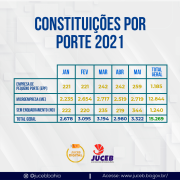 constituições-por-porte-2