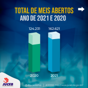 graficos-total-anual-MEIS
