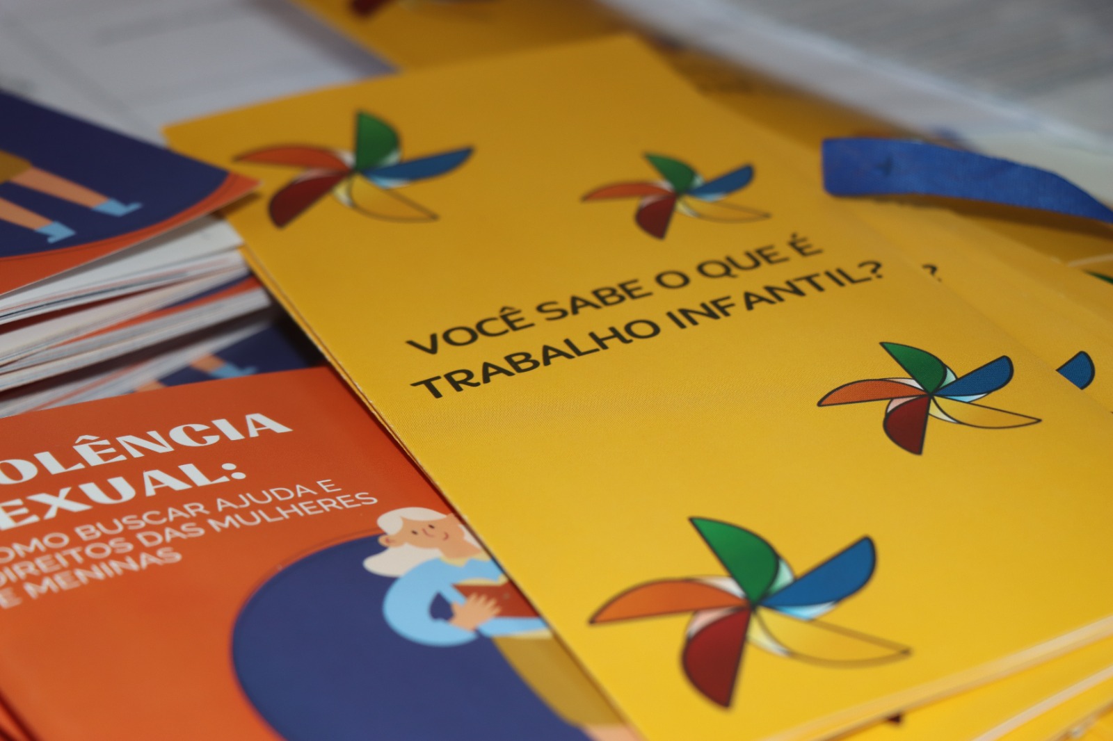 Seminária de Enfrentamento ao Trabalho Infantil