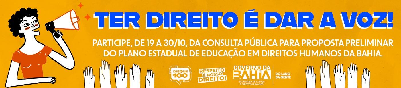 consulta pública