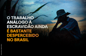 Cópia de 124882 - BNI 1140x750px MATERIA  COMBATE AO TRABALHO ESCRAVO SJDH 25_3.png