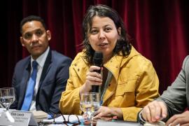 Programas de Proteção Provisória 