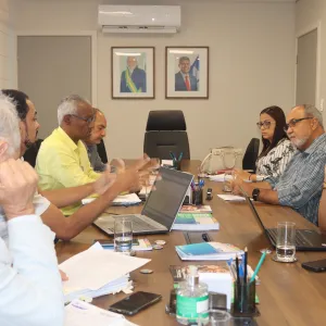 SJDH participa de reunião do Comitê Executivo do Mais Futuro