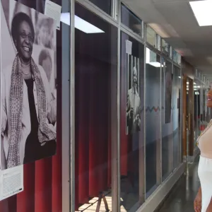 Exposição defensores(as)