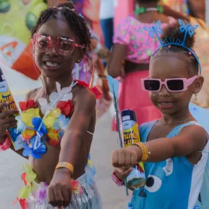 Pulseirinha de identificação 