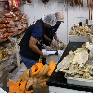 Procon- Plantão Integrado