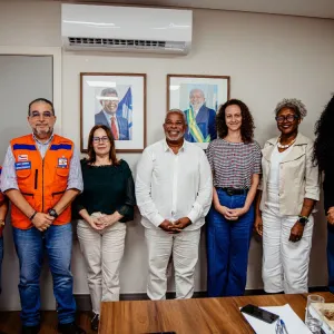 reunião sjdh e defesa civil