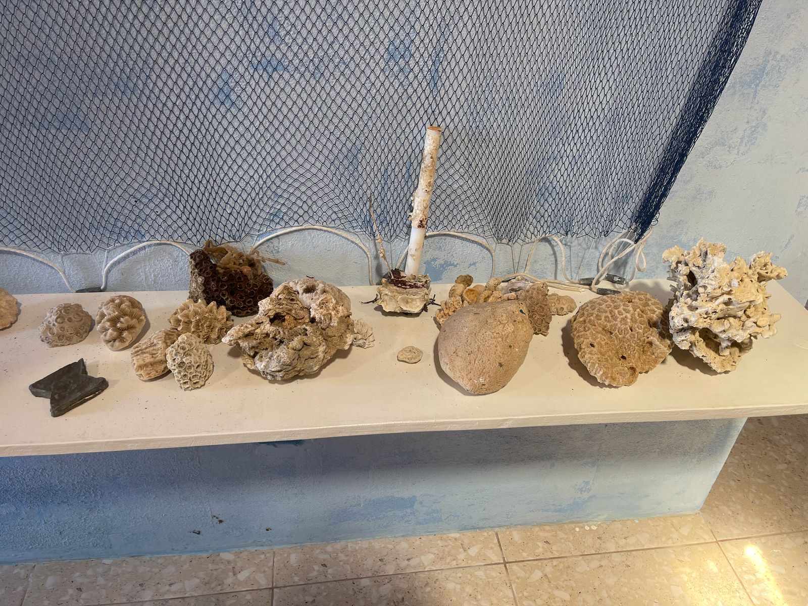 Iniciativa baiana de Recuperação dos Recifes de Corais ganha destaque internacional