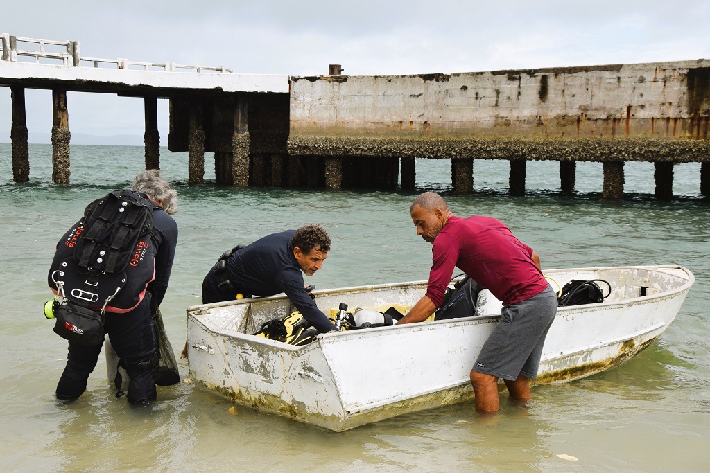 Cerca de 3 toneladas de coral invasor são removidas da Ilha de Itaparica 