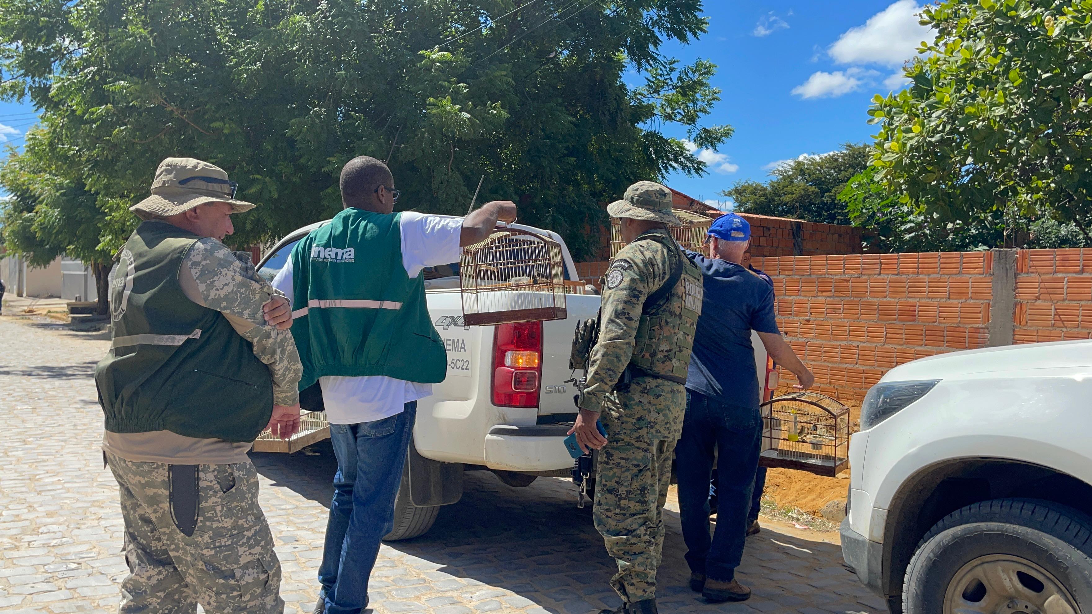 FPI combate tráfico de aves e promove ações educativas em Bom Jesus da Lapa